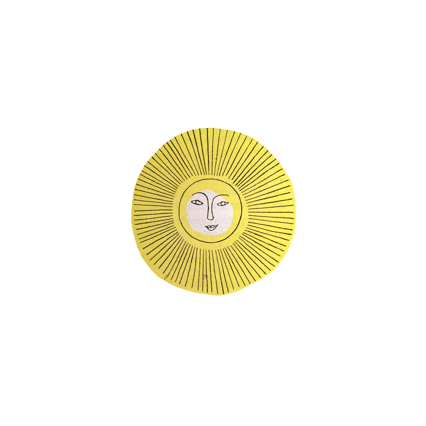 Sonnenblume